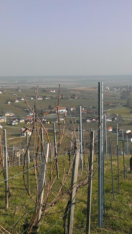 Villa Kellerstoeckl Kamper Eisenberg an der Pinka Esterno foto