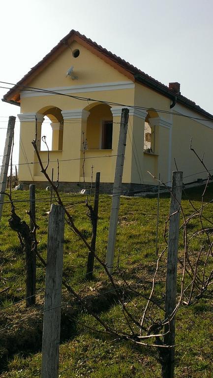 Villa Kellerstoeckl Kamper Eisenberg an der Pinka Esterno foto