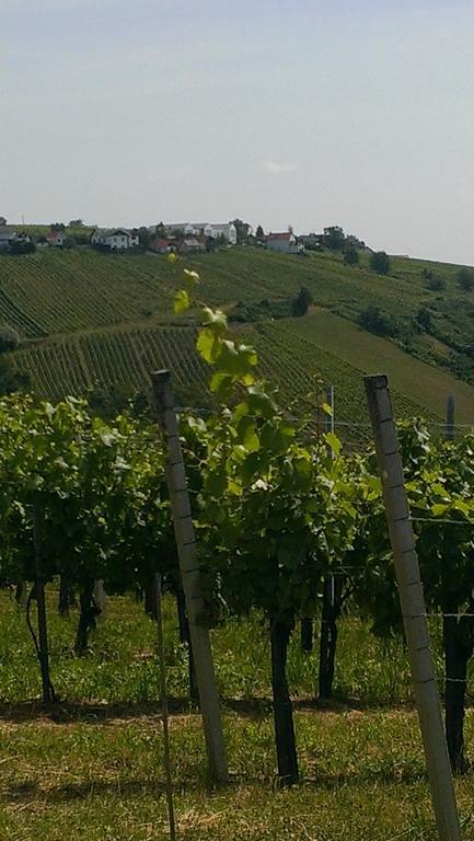 Villa Kellerstoeckl Kamper Eisenberg an der Pinka Esterno foto