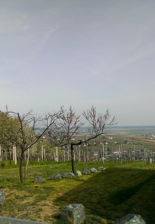 Villa Kellerstoeckl Kamper Eisenberg an der Pinka Esterno foto